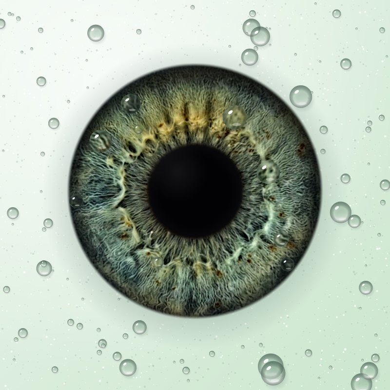 Rainelė ant stiklo su rasos lašais, lašai ant rainelės veikia kaip lęšiai